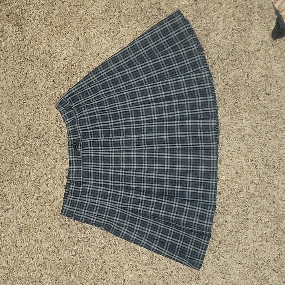 Pleated Aerie Skirt